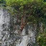 DRAGON profil fotoğrafı