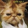 Mackowiak Reynald's profile picture