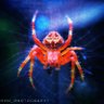 Фото профиля pranshu sharma