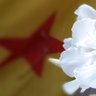 JaumeDSantBoi profil fotoğrafı