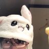よしピ/SNOOPY🐶's profile picture