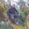 Elisee Musangwa profil fotoğrafı