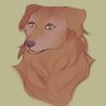 Gryphon 🎨🍌's profile picture