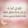 علاء الصلح's profile picture