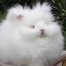 petit bohème profil fotoğrafı