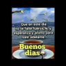 Toñita's profile picture