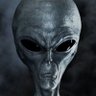 Profilbild von Wheat Thicks