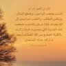 امان 的头像