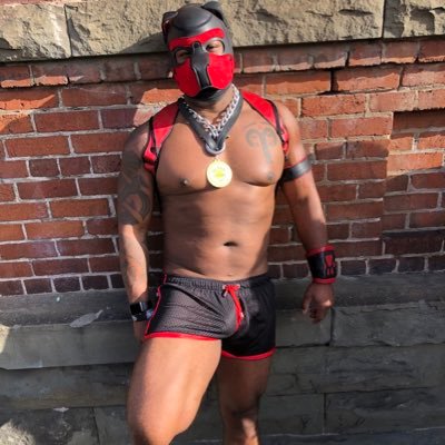 leatherpuptiago's profile picture