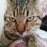 Erdoğan's profile picture