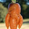 Фото профиля Politically Carrot