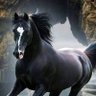 Profilbild von آلهہ‏‏ــــآربــ مـنــ جهہ‏‏نـــمــ & Ταℓαατ zαмααи