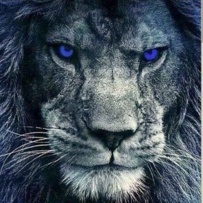 Fairfax HS Football's profile picture