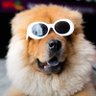 Bryan's profile picture