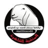 المنقيه القاهره profil fotoğrafı