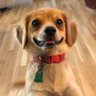 Profilbild von Greg