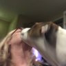 Annamae green's profile picture