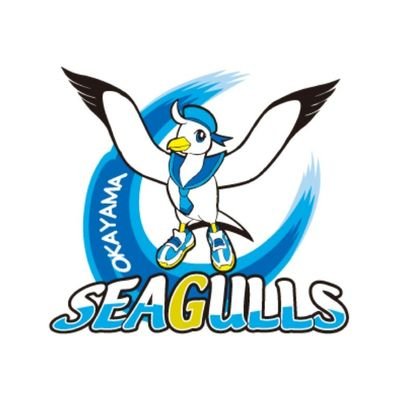 okym_seagulls's profile picture