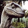 not a raptor 🇺🇸💥 profil fotoğrafı
