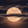تَمَّام..◼'s profile picture