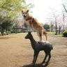 からあげさん's profile picture
