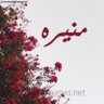 منيره التميمي profil fotoğrafı