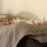 Linda profil fotoğrafı