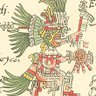 jose Pelaez 的头像