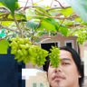 RKFGNURSERY's profile picture