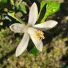 Фото профиля Vero