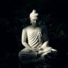 Фото профиля kamal kant singh