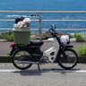 隠れ狐 profil fotoğrafı