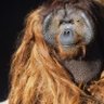 Фото профиля Ken Allen