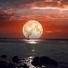 FSH-64 的头像