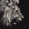 Skillz's profile picture