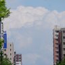 蒼い月 profil fotoğrafı