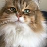 Fionafinnie's profile picture