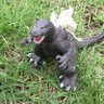 くまさん73 profil fotoğrafı