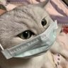 Profilbild von Good Doc