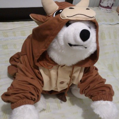 Cenobear's profile picture