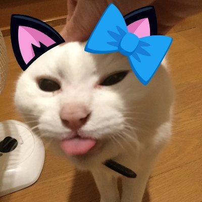 初老のオス猫's profile picture