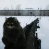 kachi profil fotoğrafı