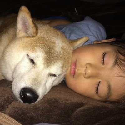 AkAVceDyN4QgGH7's profile picture