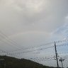 ゆうこりん 的头像