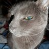Janet Schmo profil fotoğrafı