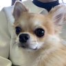 noelcinq's profile picture