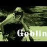 Фото профиля Gobelin