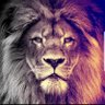 Profilbild von أسد المملكة 🇸🇦