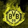 Haalandinho's profile picture