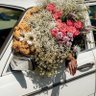 Фото профиля لآمــا 🇸🇦